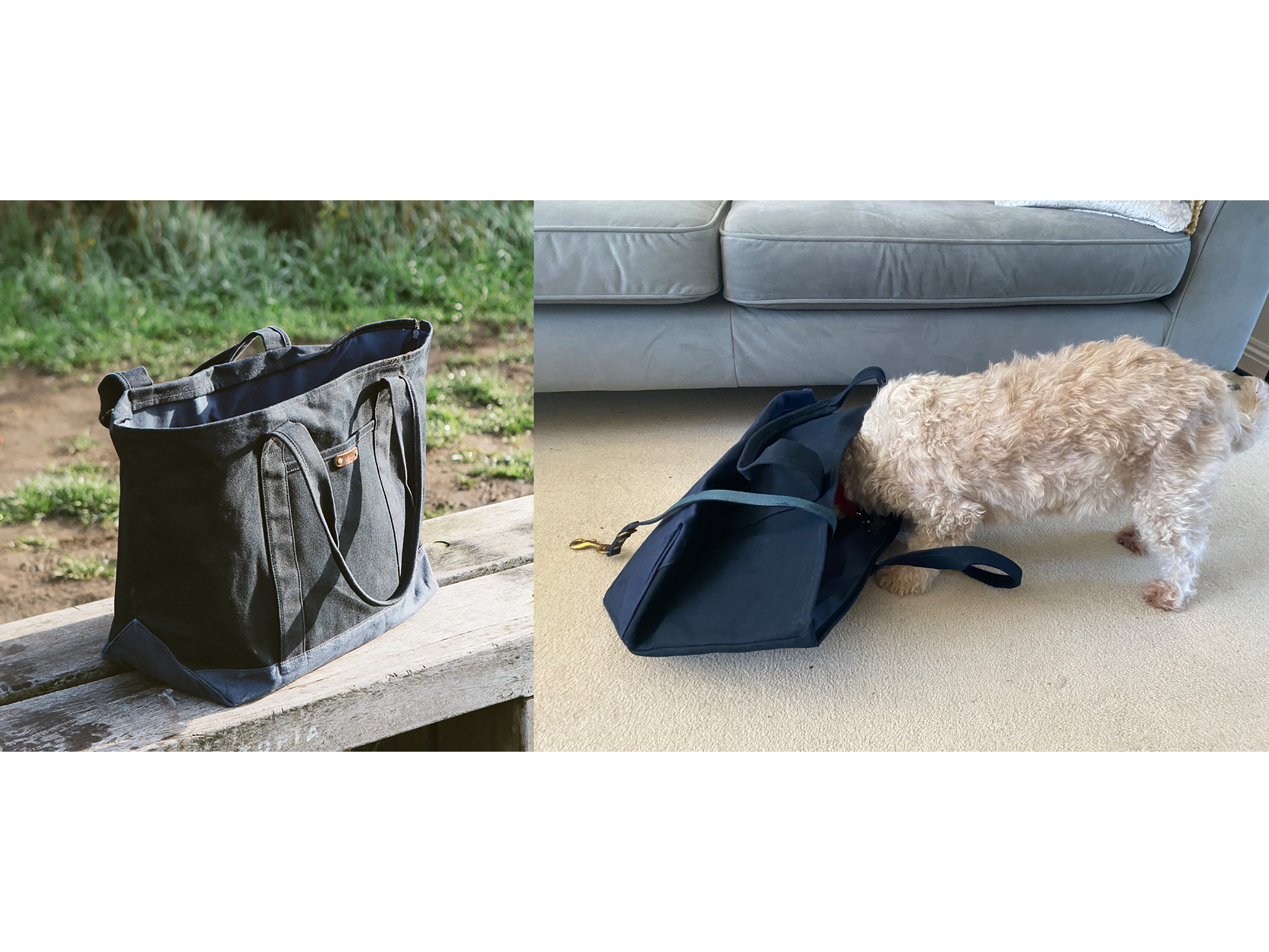 Best dog clearance purse